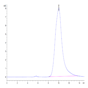 Human KLKB1 Protein (KLK-HM1B1)