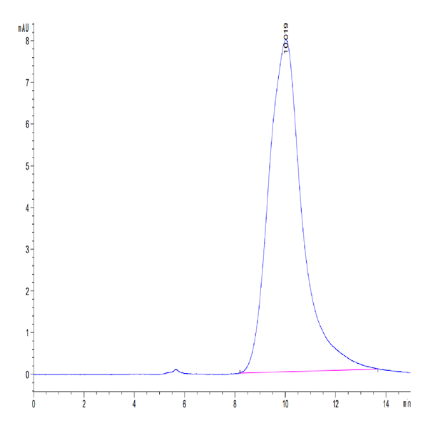 Human KLKB1 Protein (KLK-HM1B1)