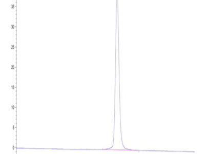 Mouse KLKB1 Protein (KLK-MM1B1)