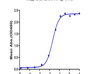 Human KLRG1 Protein (KLR-HM2G1)