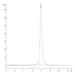 Human KLRG1 Protein (KLR-HM2G1)