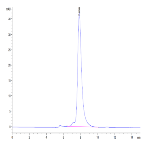 Human KLRG1 Protein (KLR-HM2G1)