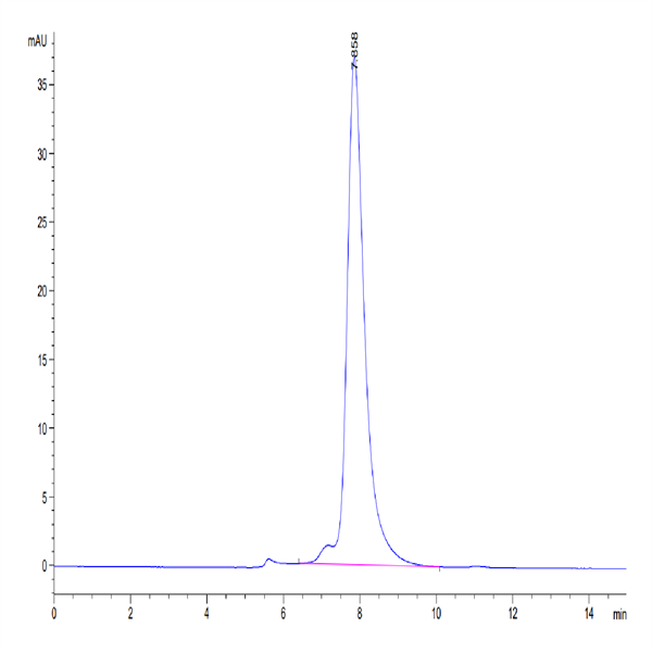Human KLRG1 Protein (KLR-HM2G1)