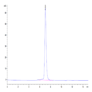 Mouse KLRG1 Protein (KLR-MM2G1)