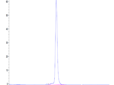 Mouse KLRG1 Protein (KLR-MM2G1)