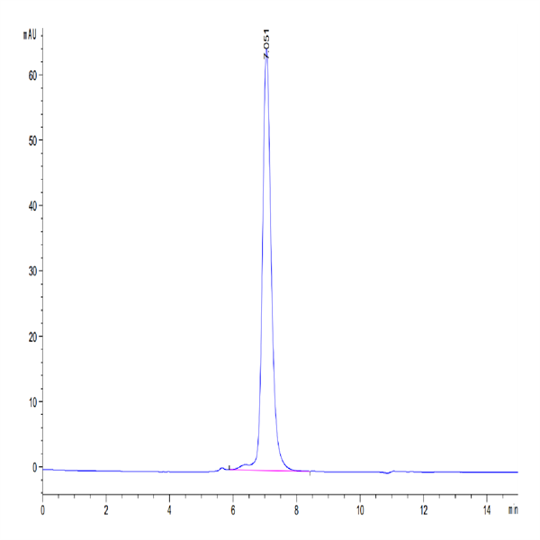 Mouse KLRG1 Protein (KLR-MM2G1)