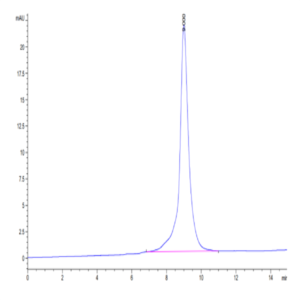 Rhesus macaque KIR3DL2 Protein (KR3-CM1L2)