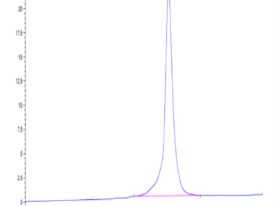 Rhesus macaque KIR3DL2 Protein (KR3-CM1L2)