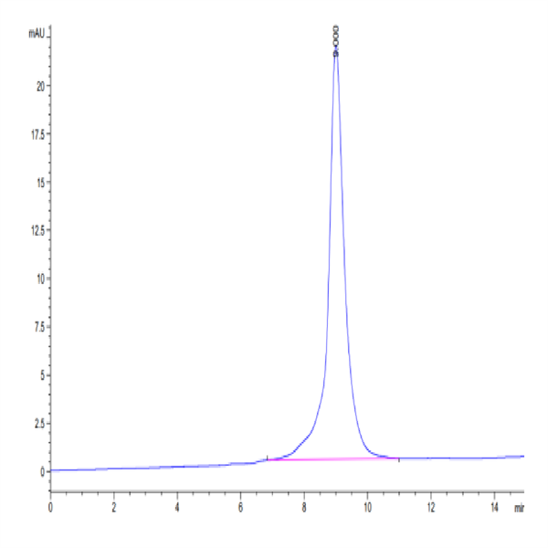 Rhesus macaque KIR3DL2 Protein (KR3-CM1L2) Rhesus macaque KIR3DL2 Protein (KR3-CM1L2)