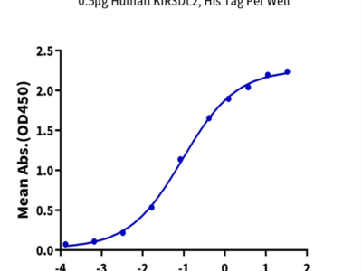 Human KIR3DL2 Protein (KR3-HM4L2)