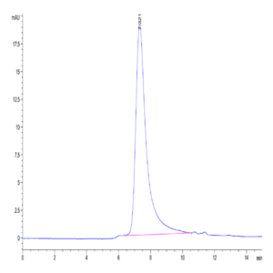 Human KIR3DL2 Protein (KR3-HM4L2)