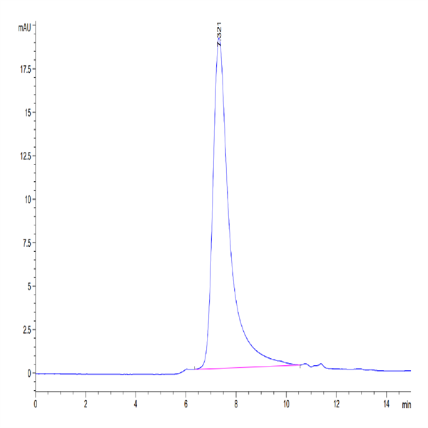 Human KIR3DL2 Protein (KR3-HM4L2)