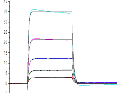 Human KIR3DL3 Protein (KR3-HM4L3)