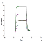 Biotinylated Human KIR3DL3 Protein (KR3-HM4L3B)