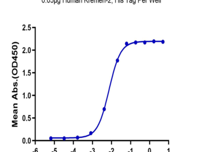 Human Kremen-2 Protein (KRE-HM102)
