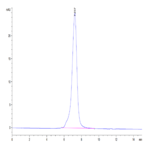 Human Kremen-1 Protein (KRE-HM201)