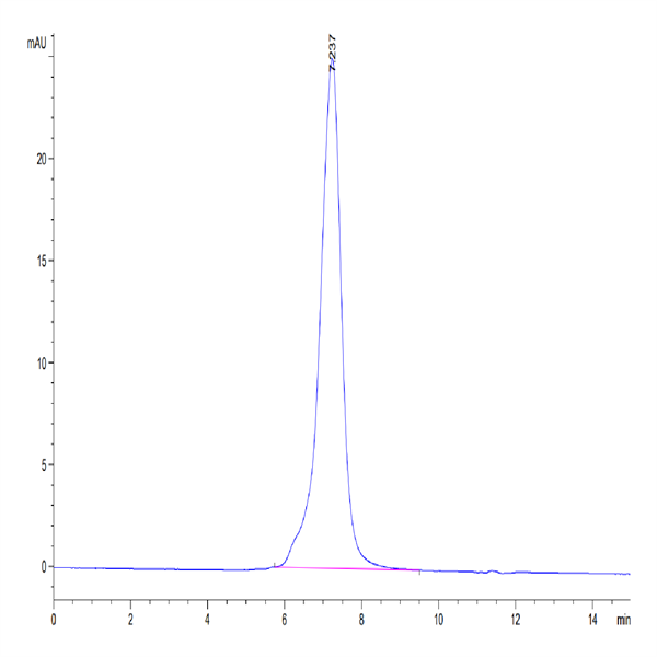 Human Kremen-1 Protein (KRE-HM201) Human Kremen-1 Protein (KRE-HM201)