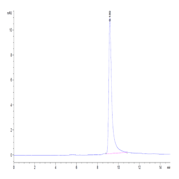 Monkeypox virus L1R Protein (L1R-VE11R) Monkeypox virus L1R Protein (L1R-VE11R)