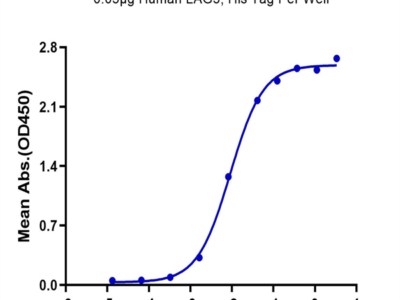 Human LAG3/CD223 Protein (LAG-HM131)