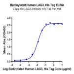 Biotinylated Human LAG3/CD223 Protein (LAG-HM431B)
