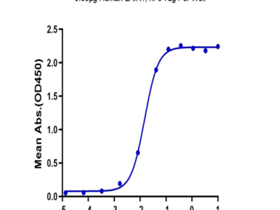 Human LAIR1/CD305 Protein (LAI-HM2R1)