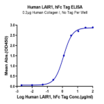 Human LAIR1/CD305 Protein (LAI-HM2R1)