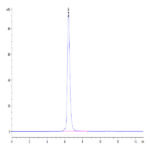 Human LAIR1/CD305 Protein (LAI-HM2R1)