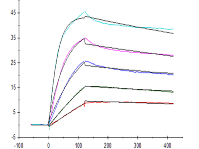Human LAIR1/CD305 Protein (LAI-HM4R1)