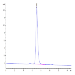 Human LAIR1/CD305 Protein (LAI-HM4R1)