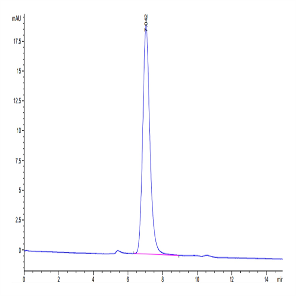 Human LAIR1/CD305 Protein (LAI-HM4R1)