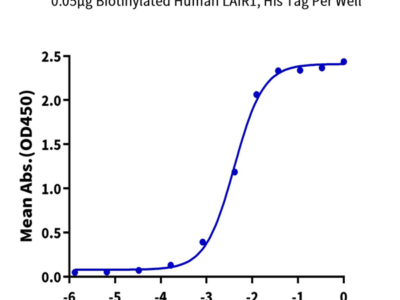 Biotinylated Human LAIR1/CD305 Protein (LAI-HM4R1B)