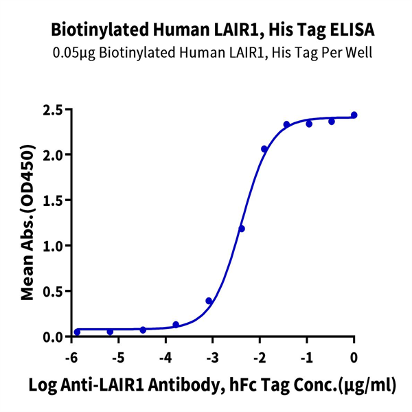 Biotinylated Human LAIR1/CD305 Protein (LAI-HM4R1B) Biotinylated Human LAIR1/CD305 Protein (LAI-HM4R1B)