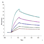 Huma LAIR2/CD306 Protein (LAI-HM4R2)