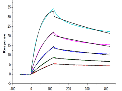 Huma LAIR2/CD306 Protein (LAI-HM4R2)