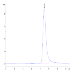 Huma LAIR2/CD306 Protein (LAI-HM4R2)