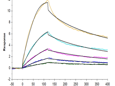 Biotinylated Human LAIR2/CD306 Protein (LAI-HM4R2B)