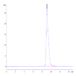 Mouse LAIR1/CD305 Protein (LAI-MM1R1)