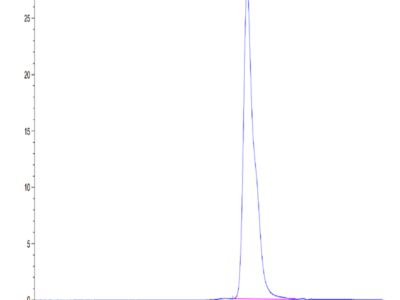 Mouse LAIR1/CD305 Protein (LAI-MM1R1)