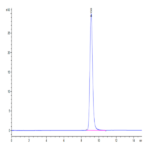 Cynomolgus LAMP5 Protein (LAM-CM105)
