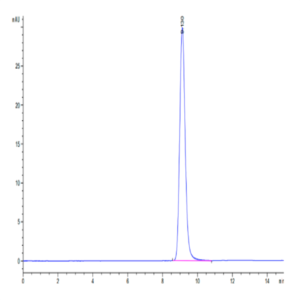 Cynomolgus LAMP5 Protein (LAM-CM105)