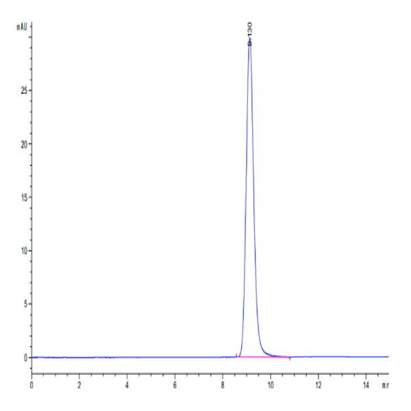 Cynomolgus LAMP5 Protein (LAM-CM105) Cynomolgus LAMP5 Protein (LAM-CM105)