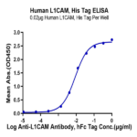Human L1CAM Protein (LAM-HM101)