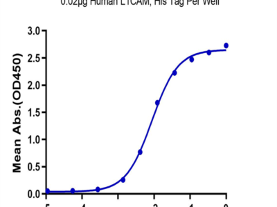Human L1CAM Protein (LAM-HM101)