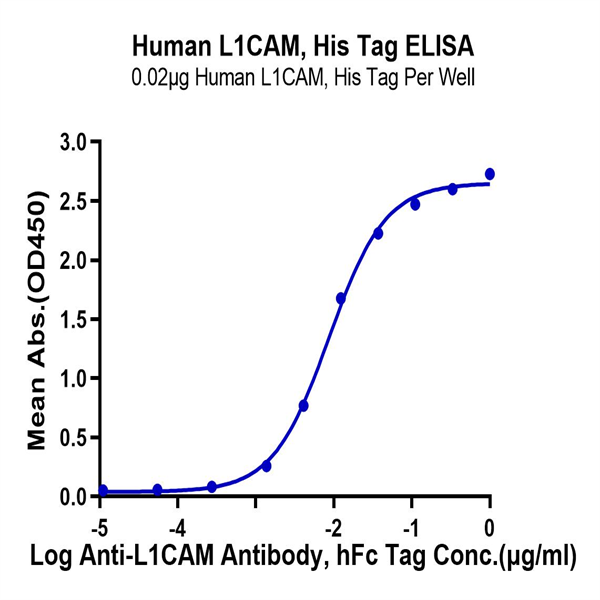 Human L1CAM Protein (LAM-HM101) Human L1CAM Protein (LAM-HM101)