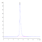 Human L1CAM Protein (LAM-HM101)