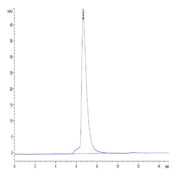 Human L1CAM Protein (LAM-HM101)
