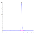 Human LAMP5 Protein (LAM-HM105)