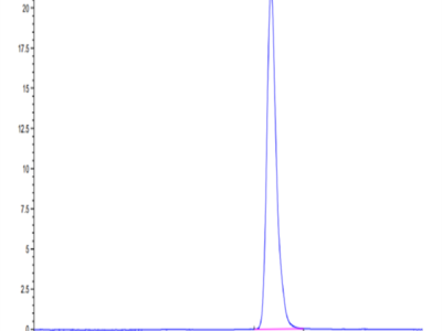 Human LAMP5 Protein (LAM-HM105)