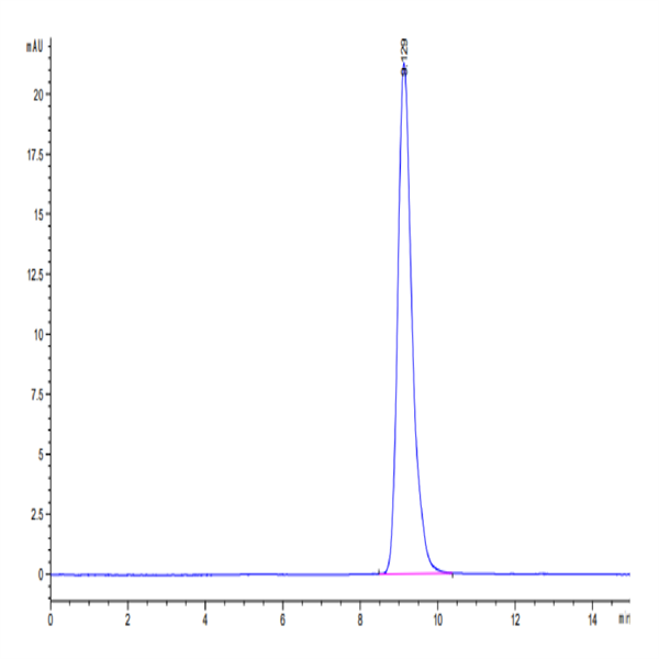 Human LAMP5 Protein (LAM-HM105) Human LAMP5 Protein (LAM-HM105)