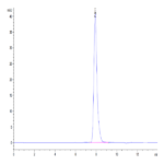 Human LAMP5 Protein (LAM-HM205)